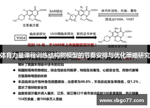体育力量课程训练结构树模型的节奏安排与优化策略研究